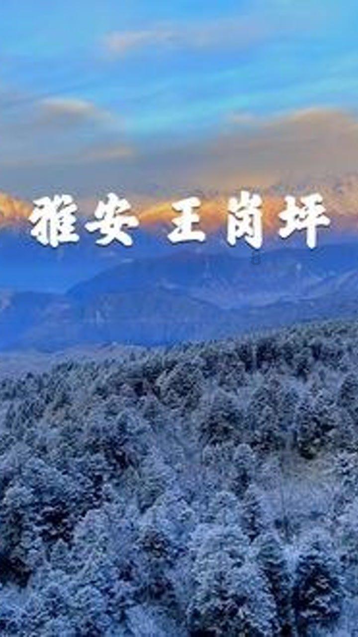 haha体育平台